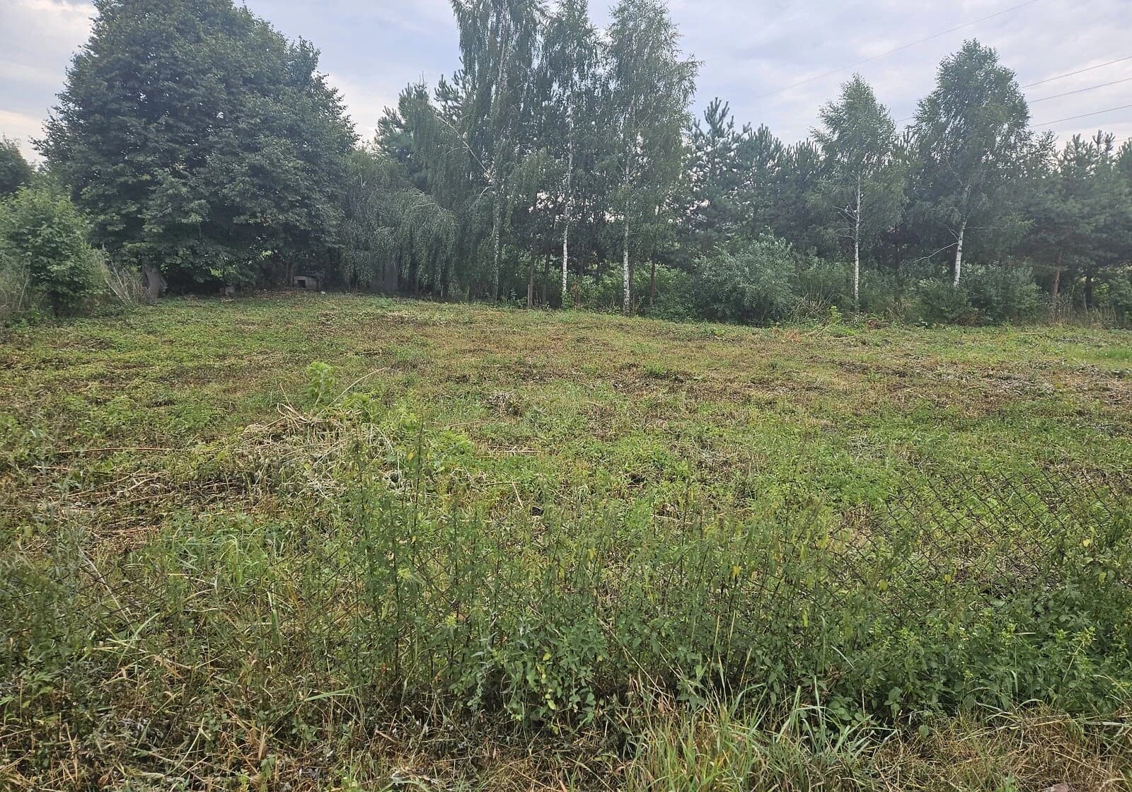 Ділянка 42 соток, Красне: житлова забудова, гараж, торг - фото 4