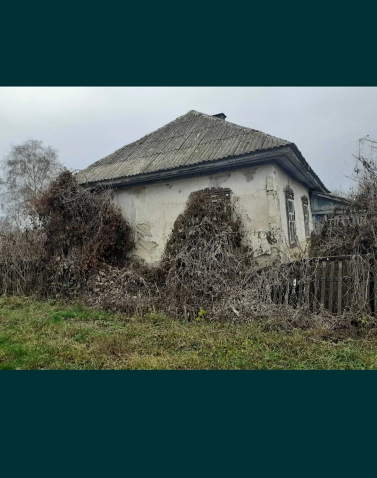 Будинок, Кладьківка: 20 соток, пічне опалення, сад - фото 2
