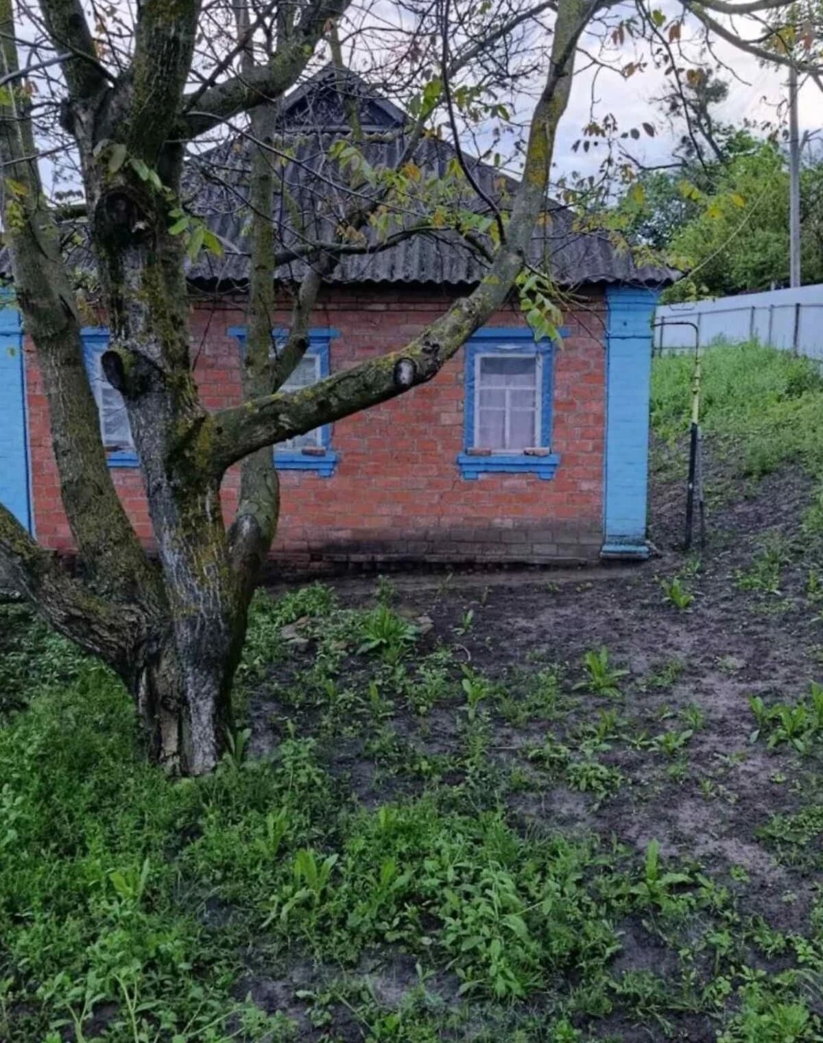 Будинок, Броварки (Гадяч): 50 соток, пічне опалення - фото 2