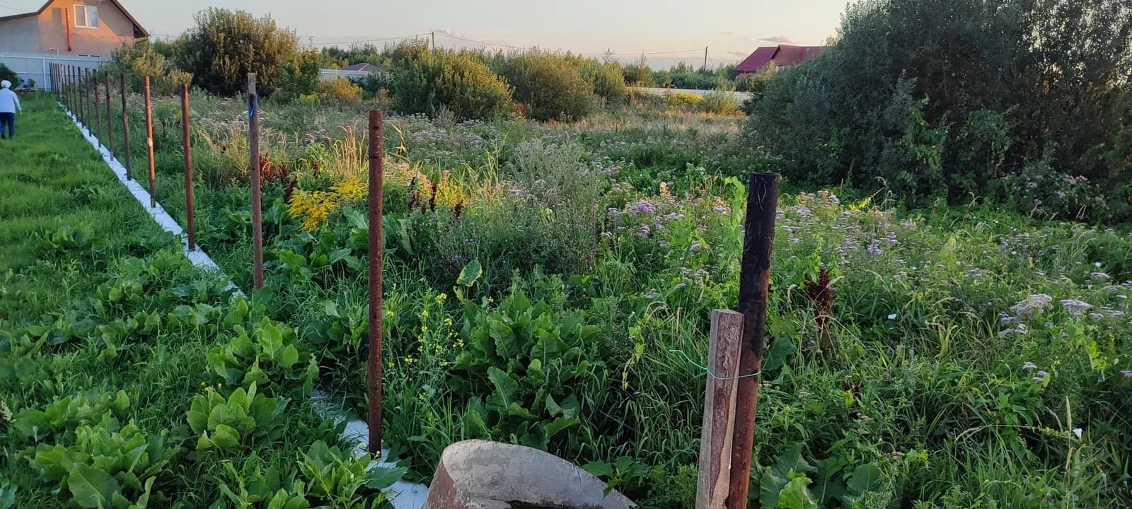 Ділянка 12 соток, Сарни: ліс та озеро, до міста 5 км - фото 2
