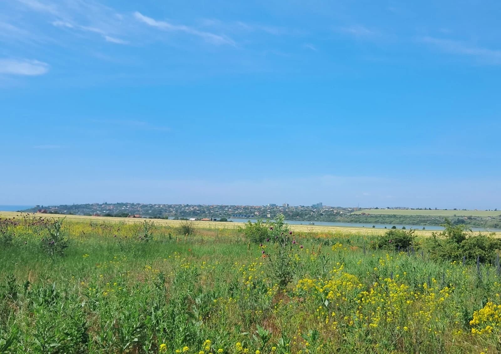 Ділянка 6.8 сотки, Нова Дофінівка: чорнозем, вода - фото 2