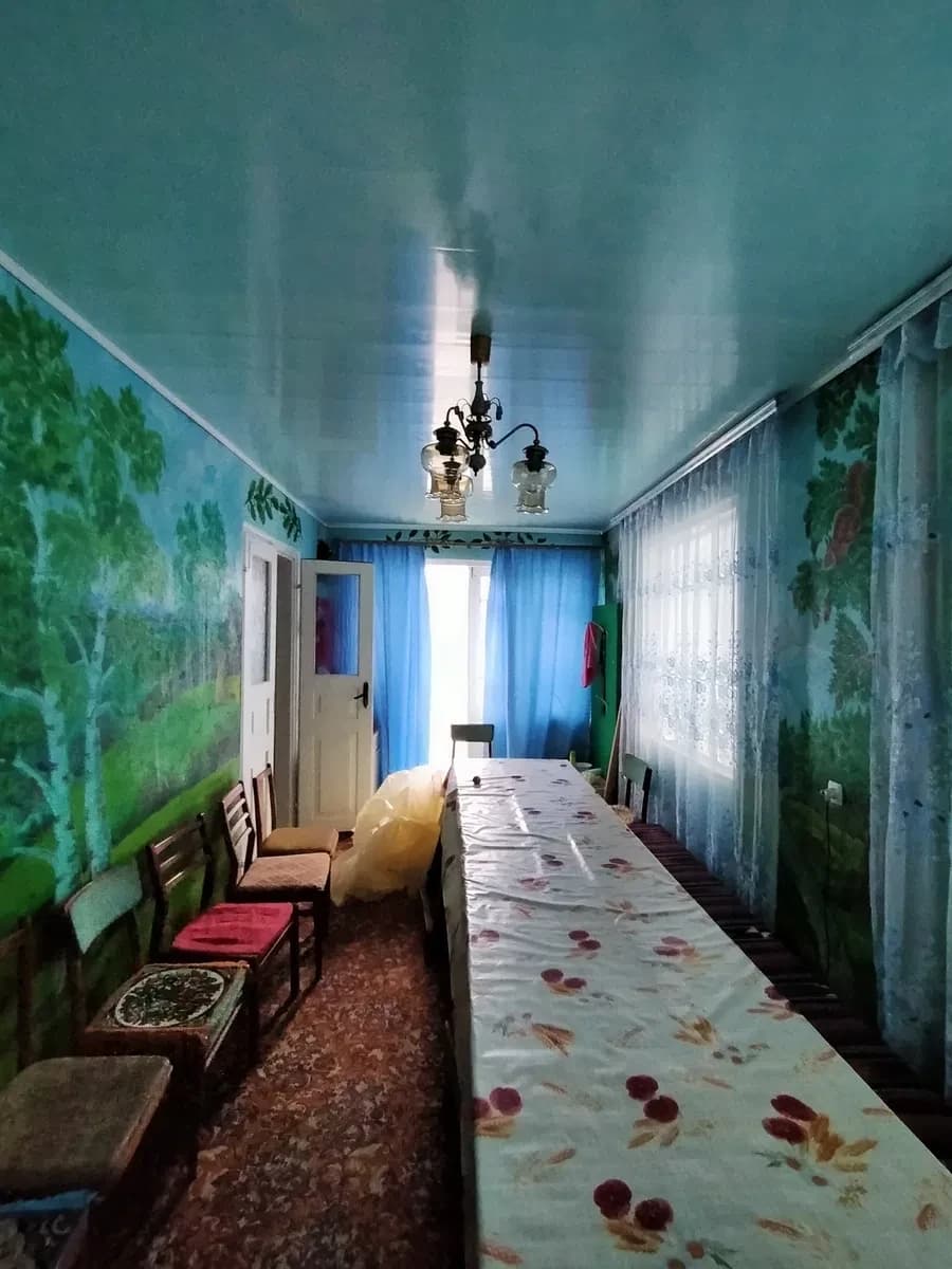 Будинок, Березівка: 40 соток, гараж, 0,5 га землі за 500 м - фото 5