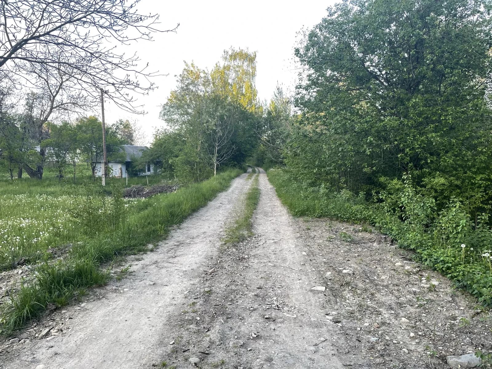 Ділянка 0.16 соток, Пістинь: під будинок, електрика та газ - фото 4