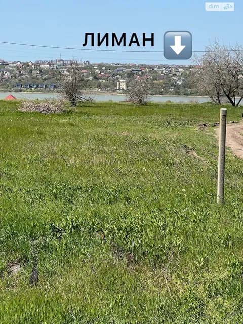 Ділянка 9.55 соток, Нова Дофінівка: житлова забудова, вода, газ - фото 2