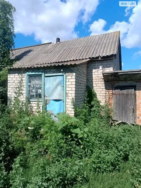 Будинок, Петрозагір’я: цегляні стіни, централізоване опалення - фото 5