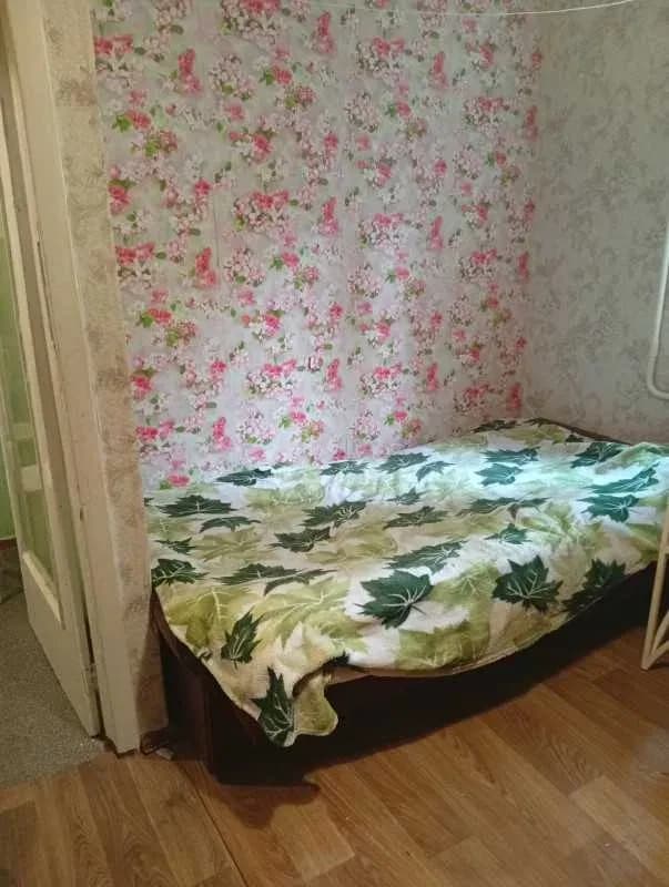 Гостинка, Святошинський: котик і песик, інтернет і вода без світла - фото 5