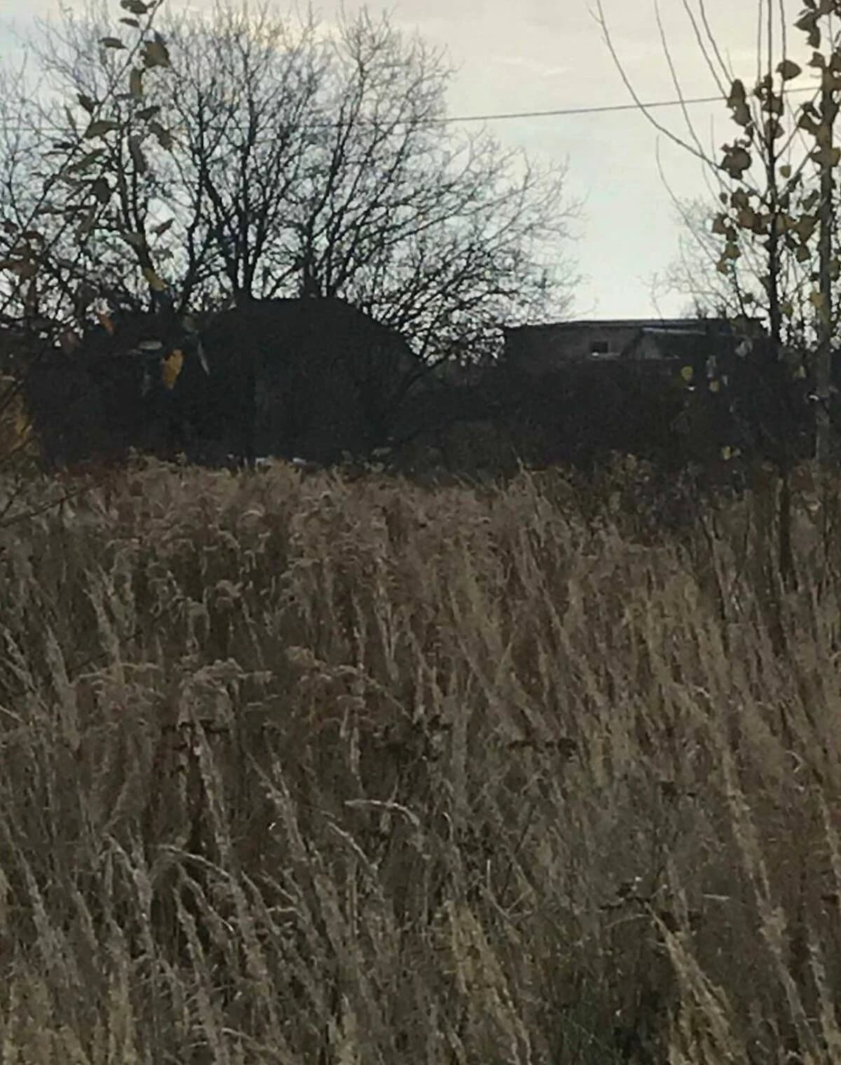 Ділянка 12 соток, Київ: електрика і газ, з фундаментом - фото 3