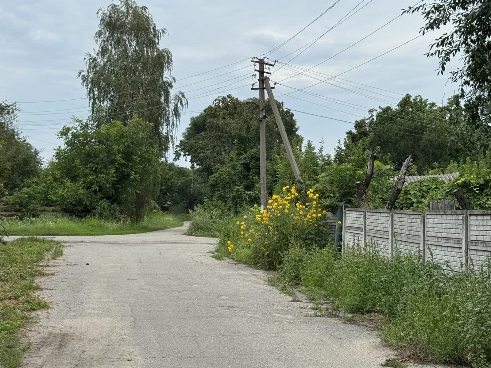 Дача, Омелянів: 24 сотки, пічне опалення, цегляний гараж - фото 2