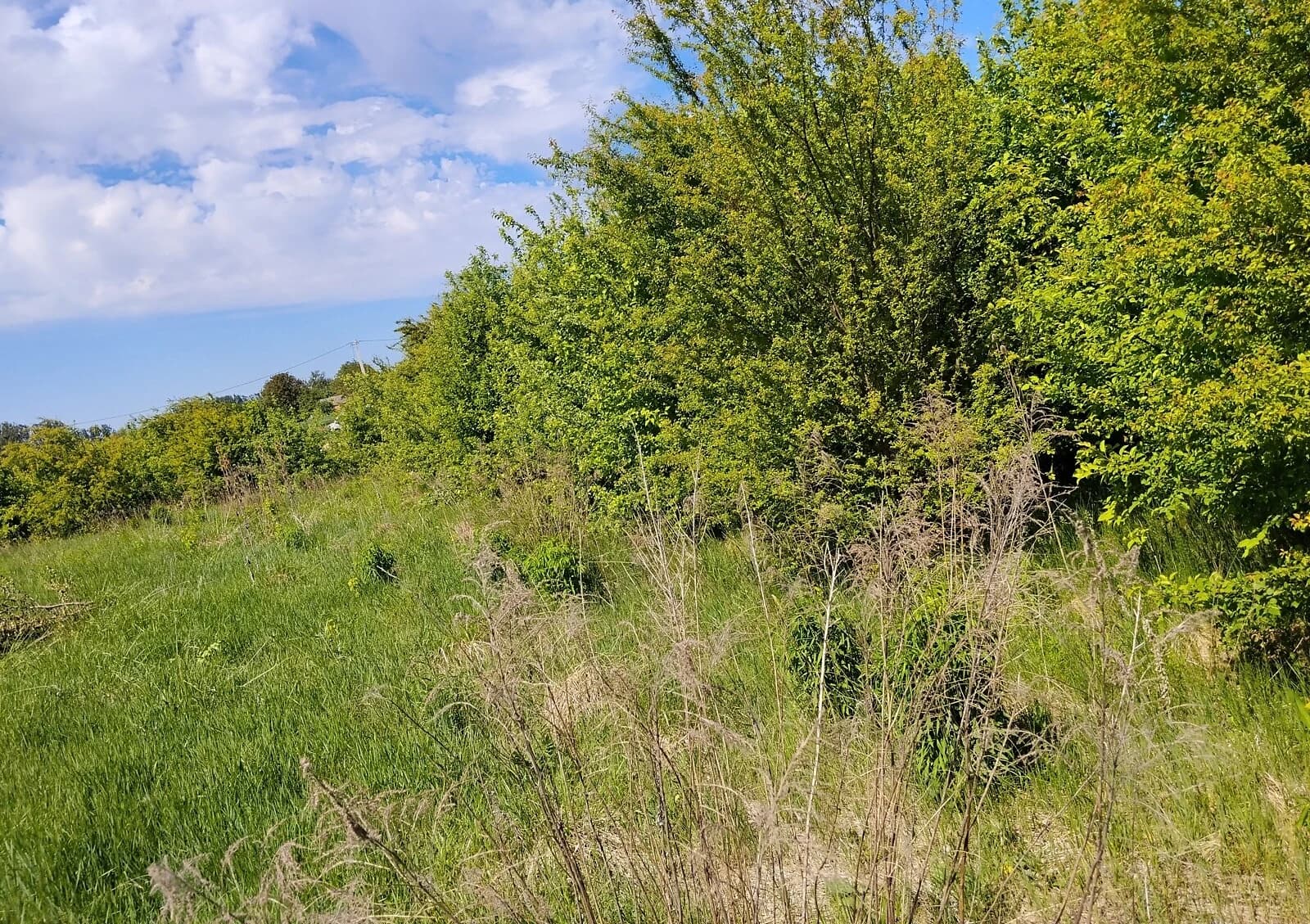 Ділянка 10.7 соток, Баїв: під житлову забудову, котеджне містечко - фото 5