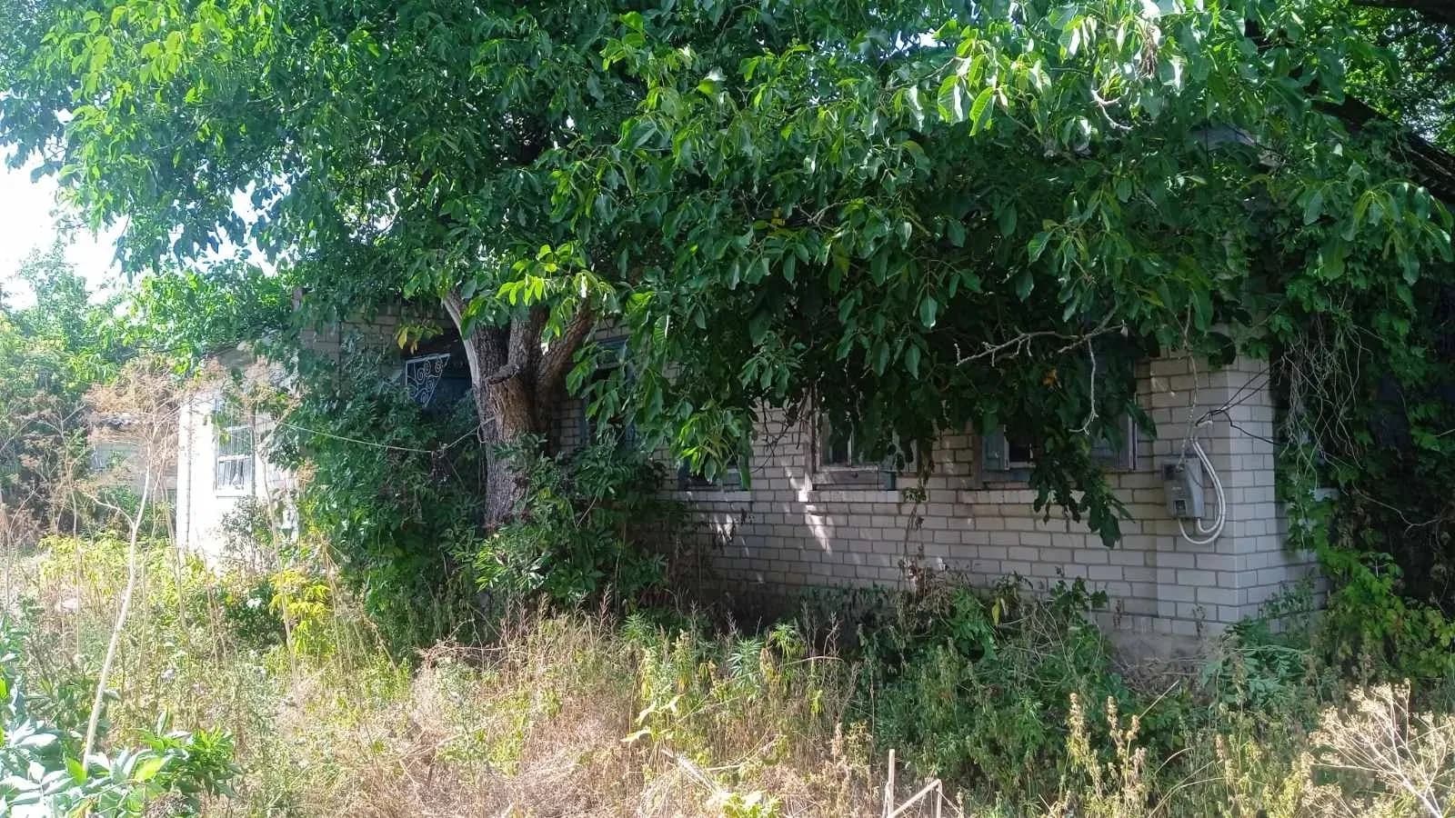 Ділянка 1 560 соток, Попівка: будинок, світло і криниця - фото 3