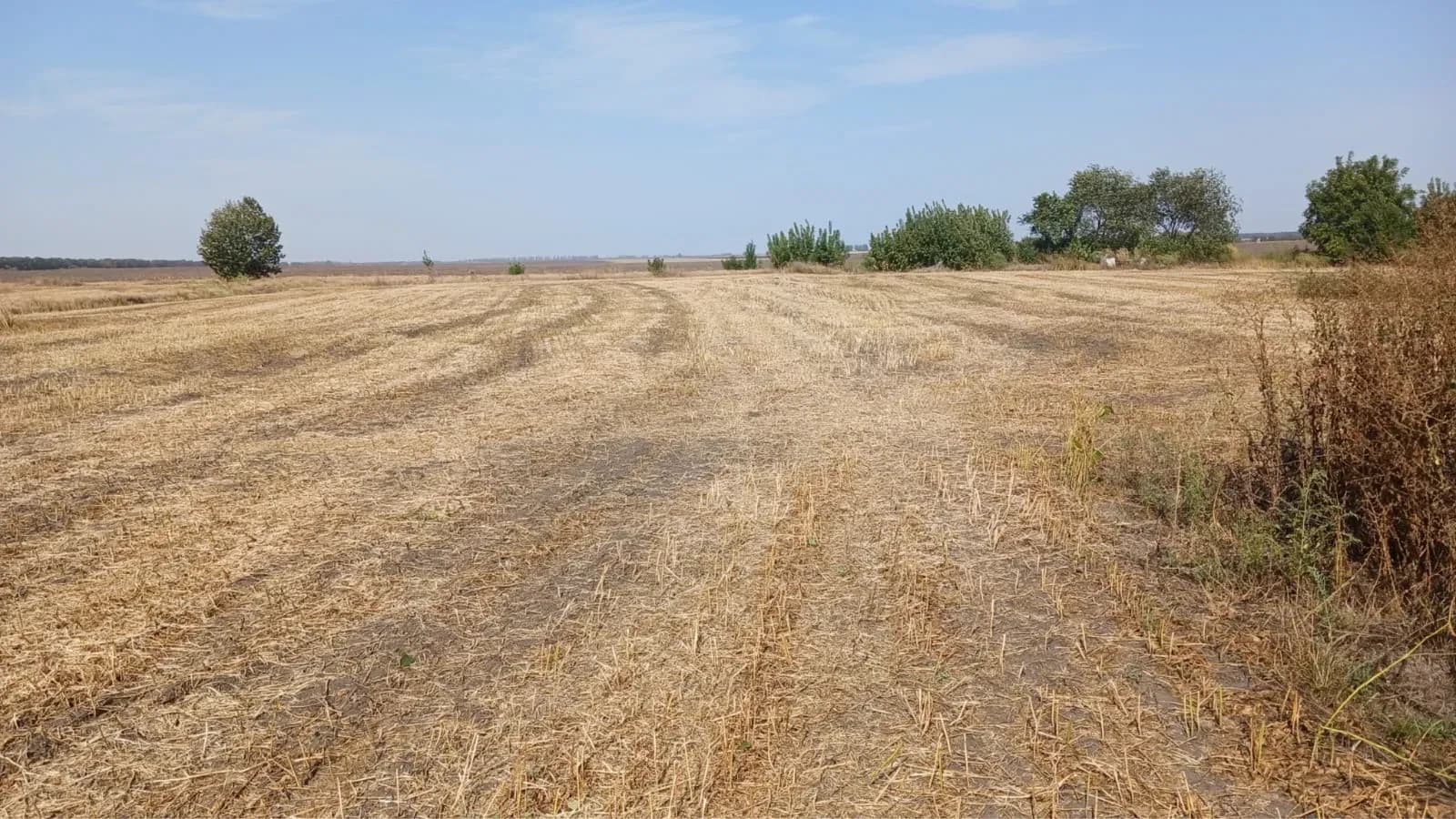 Ділянка 41 соток, Мирівка: житлова забудова, озеро 200 м - фото 2