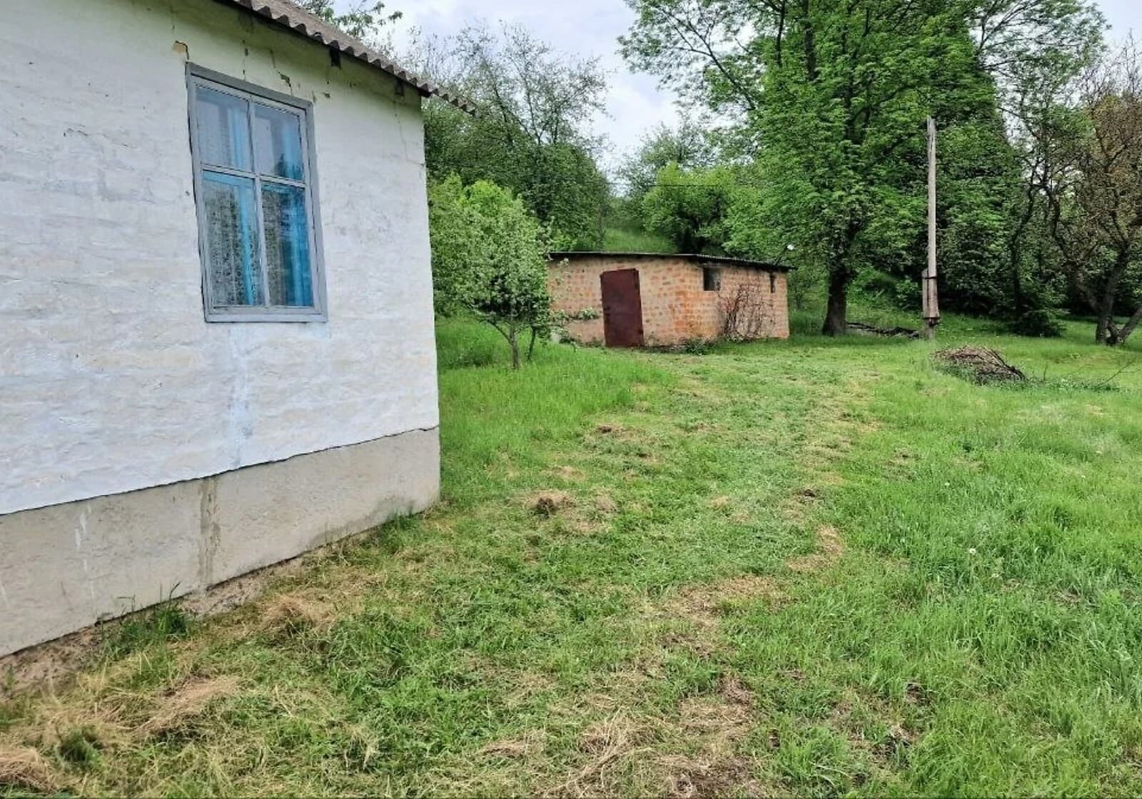 Ділянка 25 соток, Куклинці: електрика, чорнозем, торг можливий - фото 3