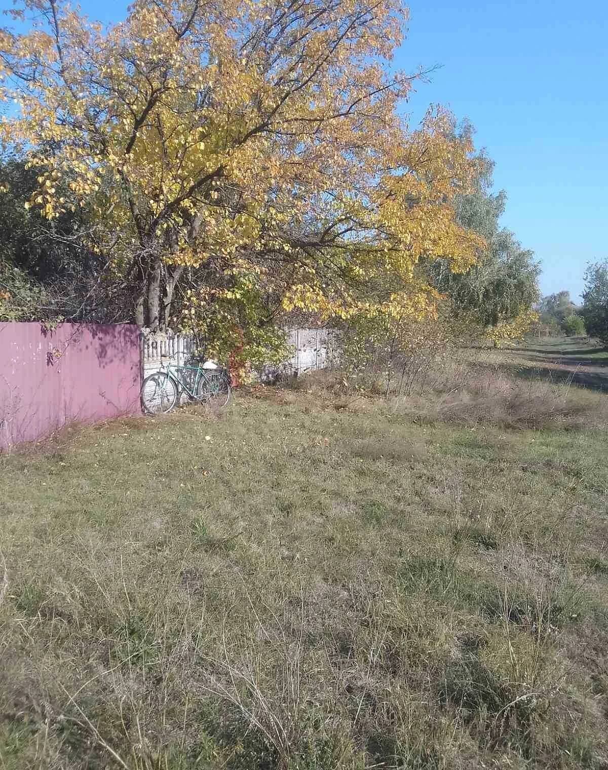 Будинок, Нові Мартиновичі: одноповерховий, цегляні стіни - фото 4