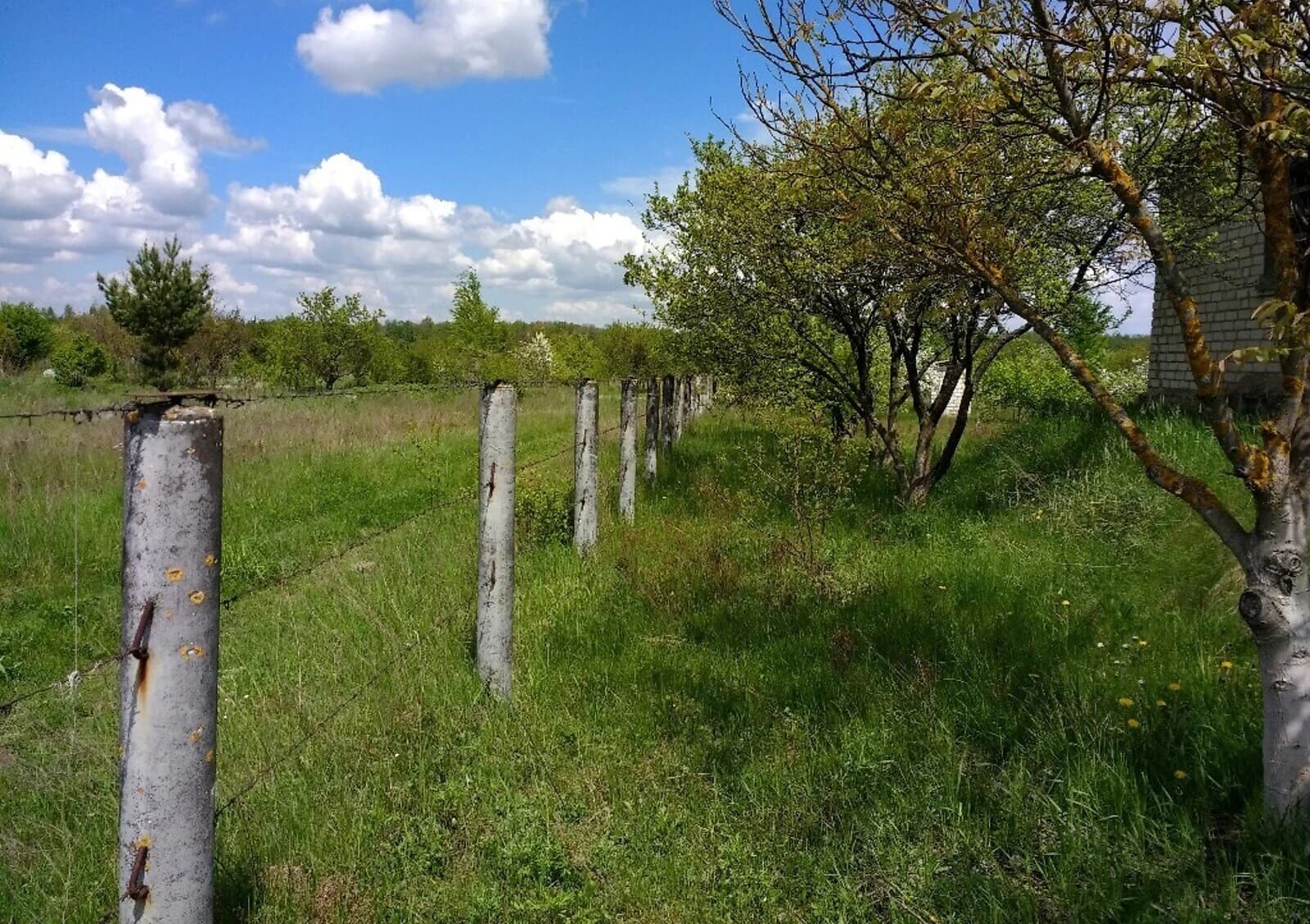 Ділянка 20 соток, Степок: житлова забудова, вода, під гараж - фото 3