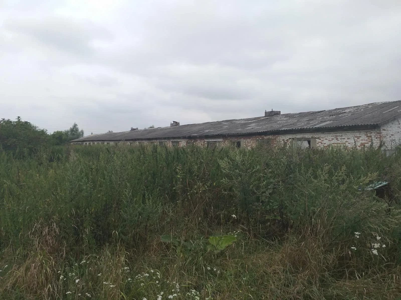 Приміщення, Гординя: під виробництво, розведення свійських тварин - фото 4