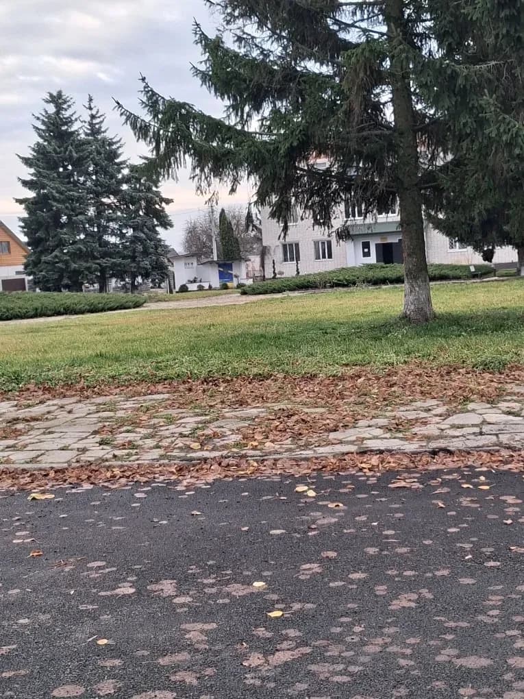 Ділянка 30 соток, Миролюбівка: під забудову, до 30 км від Житомира - фото 5
