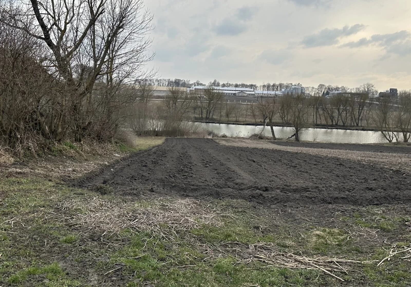 Ділянка 23.27 сотки, Романове село: під житлову забудову, чорнозем
