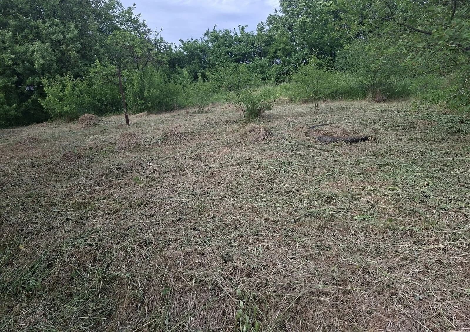 Ділянка 28 соток, Кутківці: під житлову забудову, центральний водопровід - фото 3