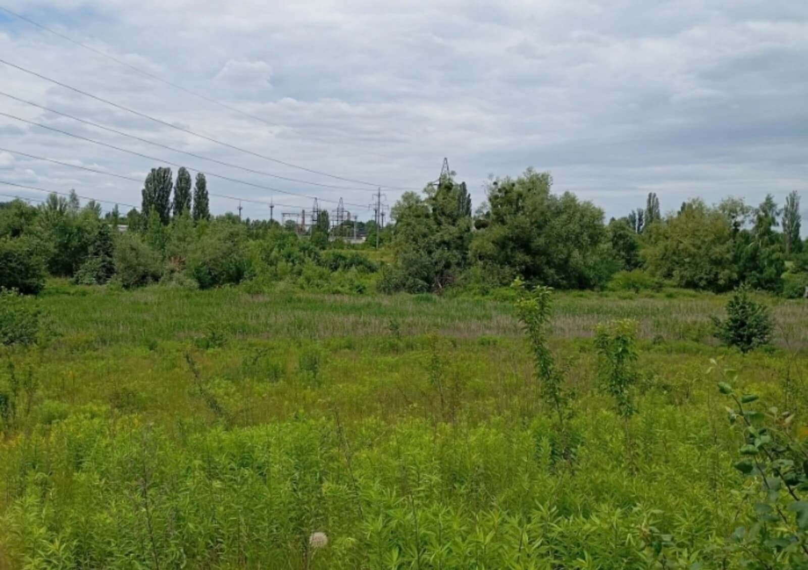 Ділянка 12 соток, Клітчин: природне озеро, чорнозем - фото 3