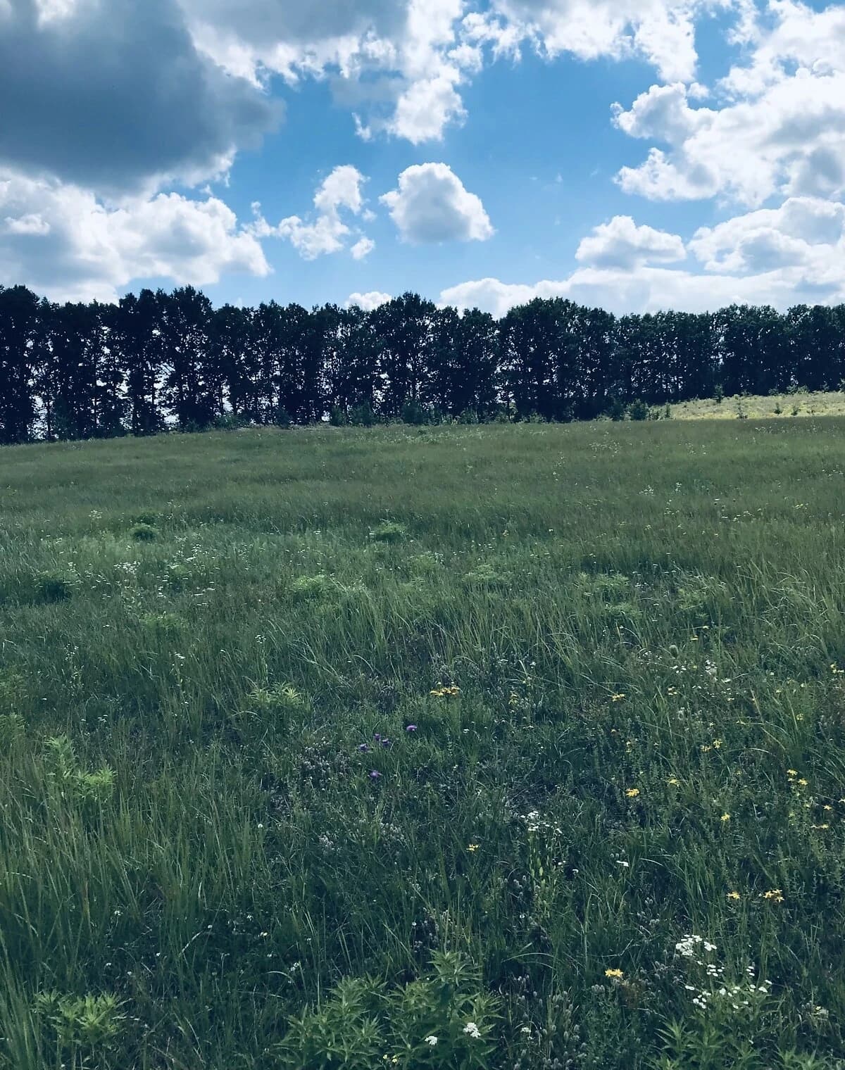 Ділянка 7 соток, Лаврівка: під житлову забудову - фото 1