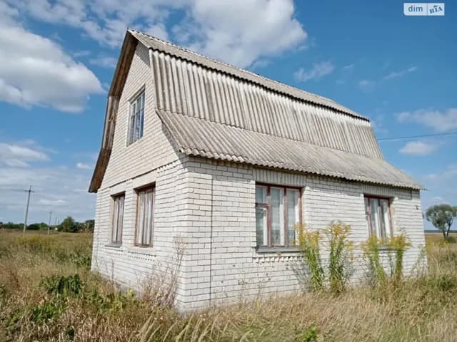 Будинок, Ставище (Брусилів): 19 соток, газ, зовнішнє утеплення - фото 3