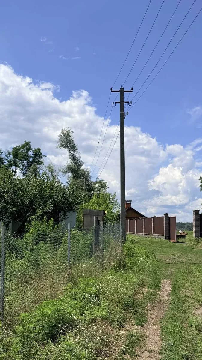 Ділянка 12,5 соток, Кедина Гора: 100 м до Дніпра, сосновий ліс - фото 5