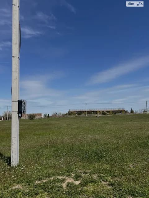 Ділянка 9.55 соток, Нова Дофінівка: житлова забудова, вода, газ - фото 3