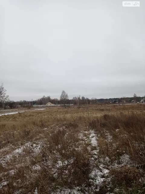 Ділянка 0.5582 га, Сингаї: торг можливий - фото 2