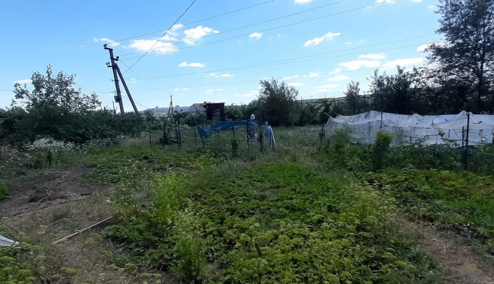 Ділянка 9 соток, правий берег: приватизована, біля джерела - фото 2