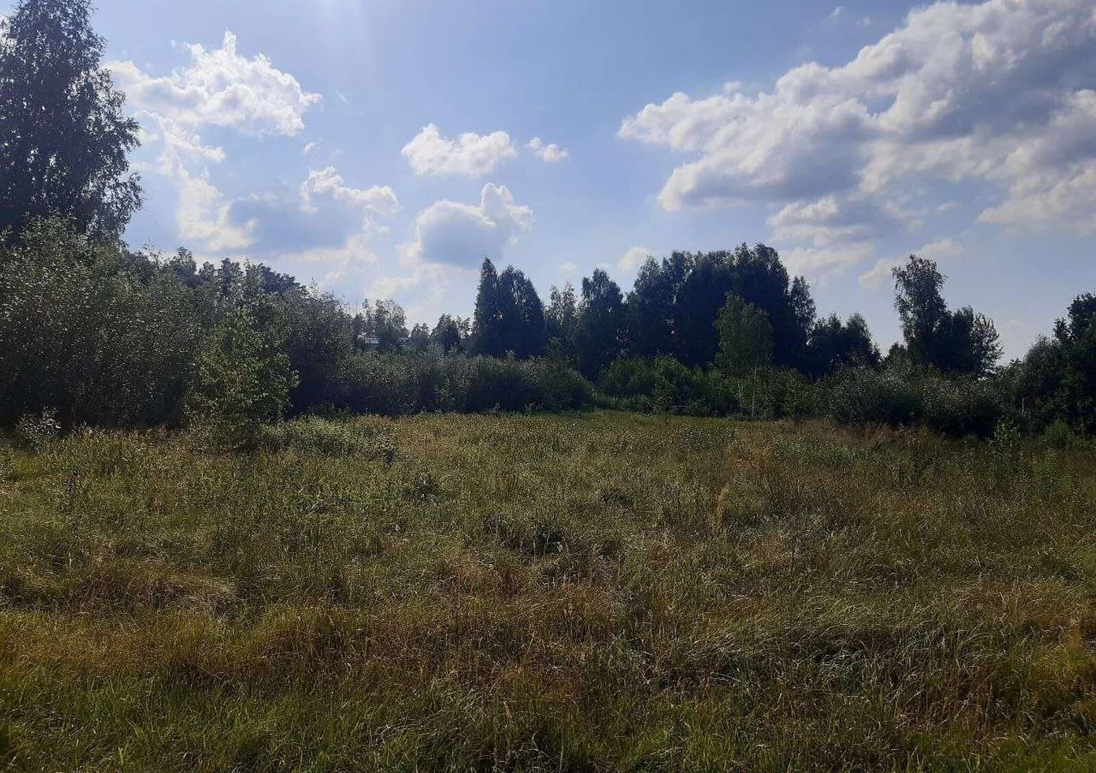Ділянка 18 соток, Пряжів: під житлову забудову, під гараж - фото 1