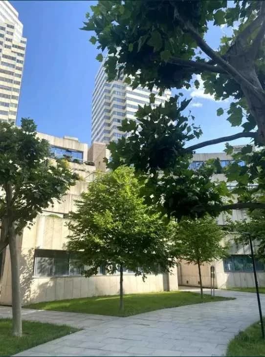 Двоповерхова квартира у ЖК Амфітеатр: вільне планування, тераса - фото 3