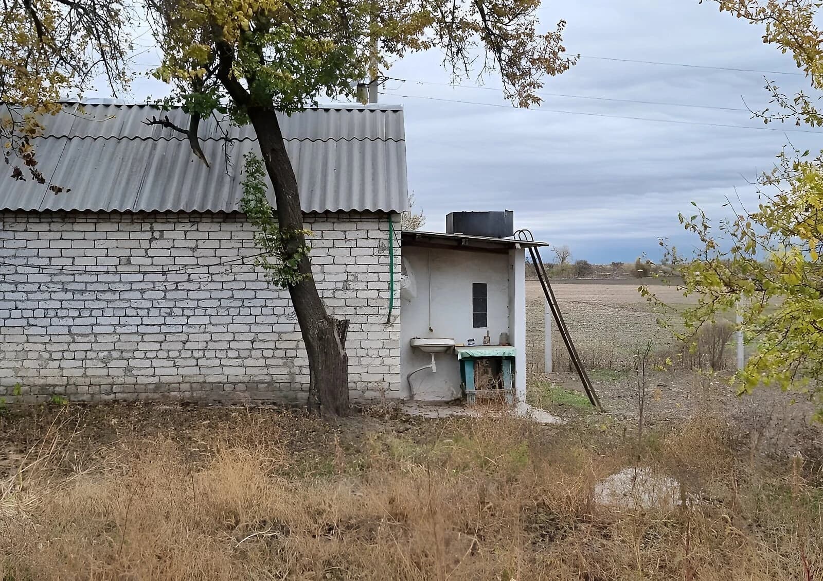 Будинок, Придніпрянське: цегляні стіни - фото 4