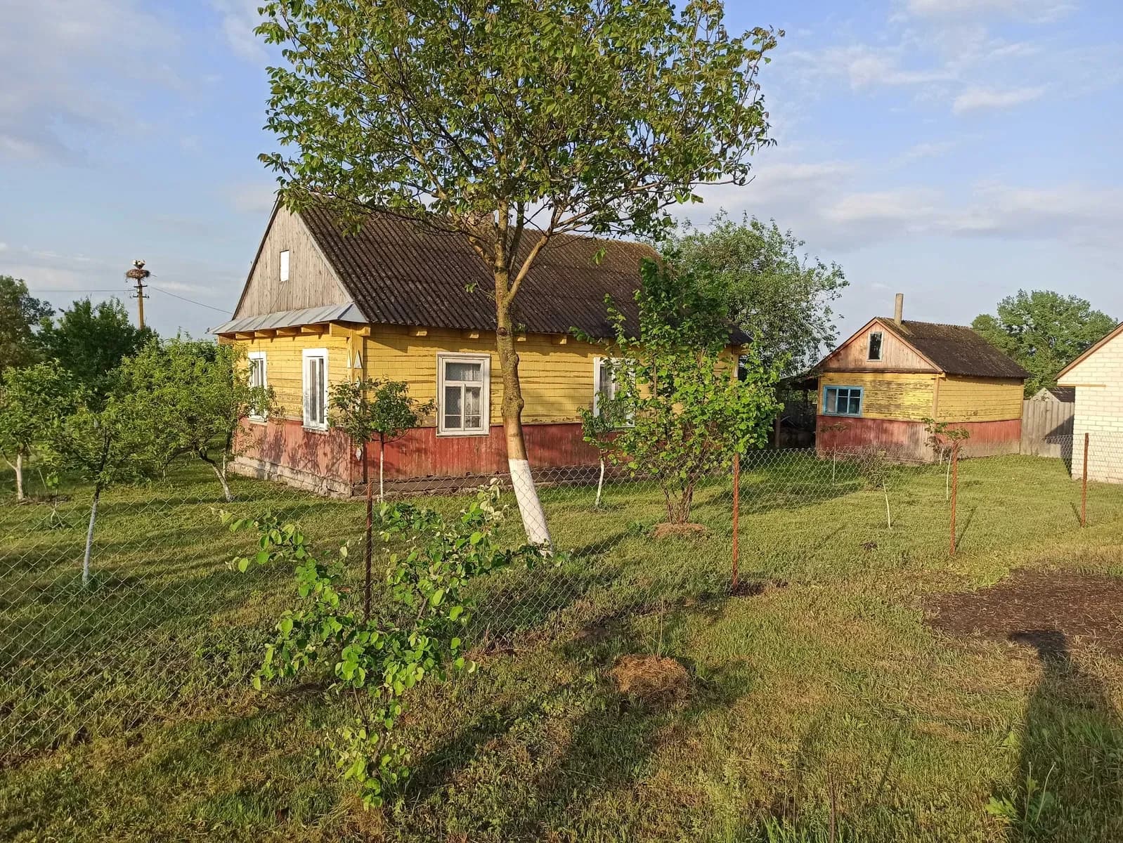 Будинок, Мировичі: автономне господарство, ліс і річка за 500 м - фото 5