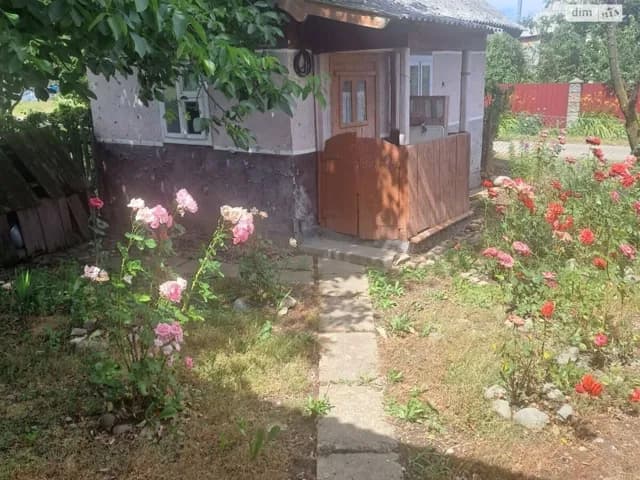 Будинок, Липівка: стіни з брусу, літня кухня - фото 3