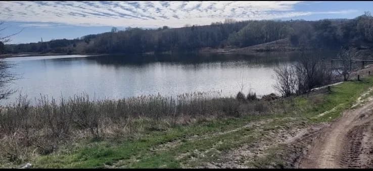 Ділянка 300 соток, Халеп'я: річка та ліс, для ферми - фото 5