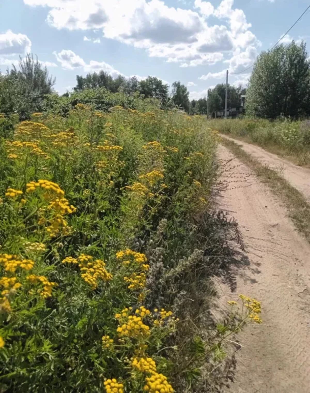 Ділянка 2.49 сотки, Київ: сільськогосподарського призначення - фото 1
