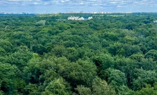 2-кімнатна квартира у ЖК Теремки: вид на парк, резервне живлення - фото 4