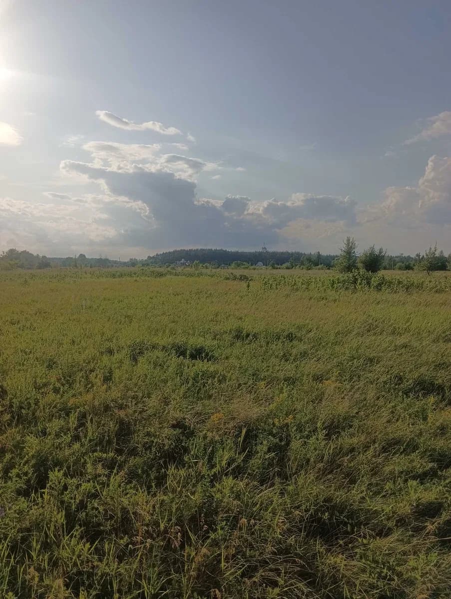 Ділянка 15 соток, Іванків: під житлову забудову, до 10 км - фото 3