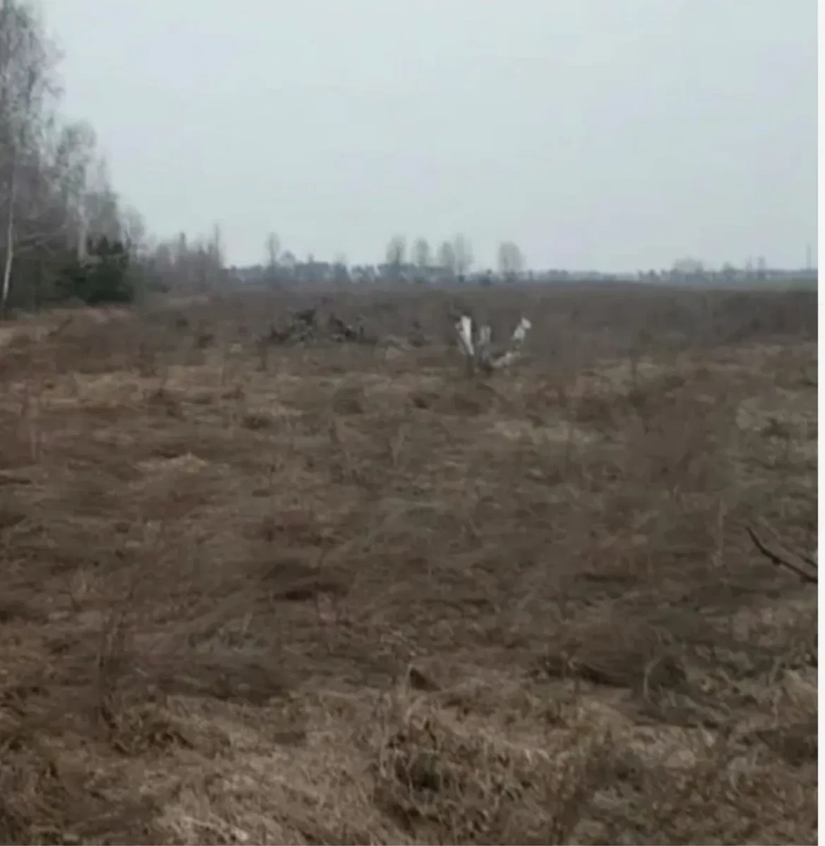 Ділянка 600 соток, Лісовичі: під бізнес, озеро та ліс - фото 2