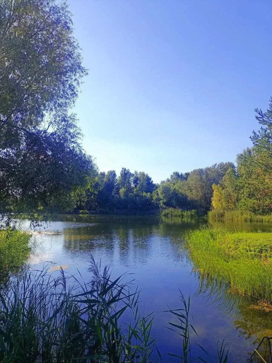 Дача, Коробівка: СТ Славутич, заповідна зона, власне озеро - фото 2