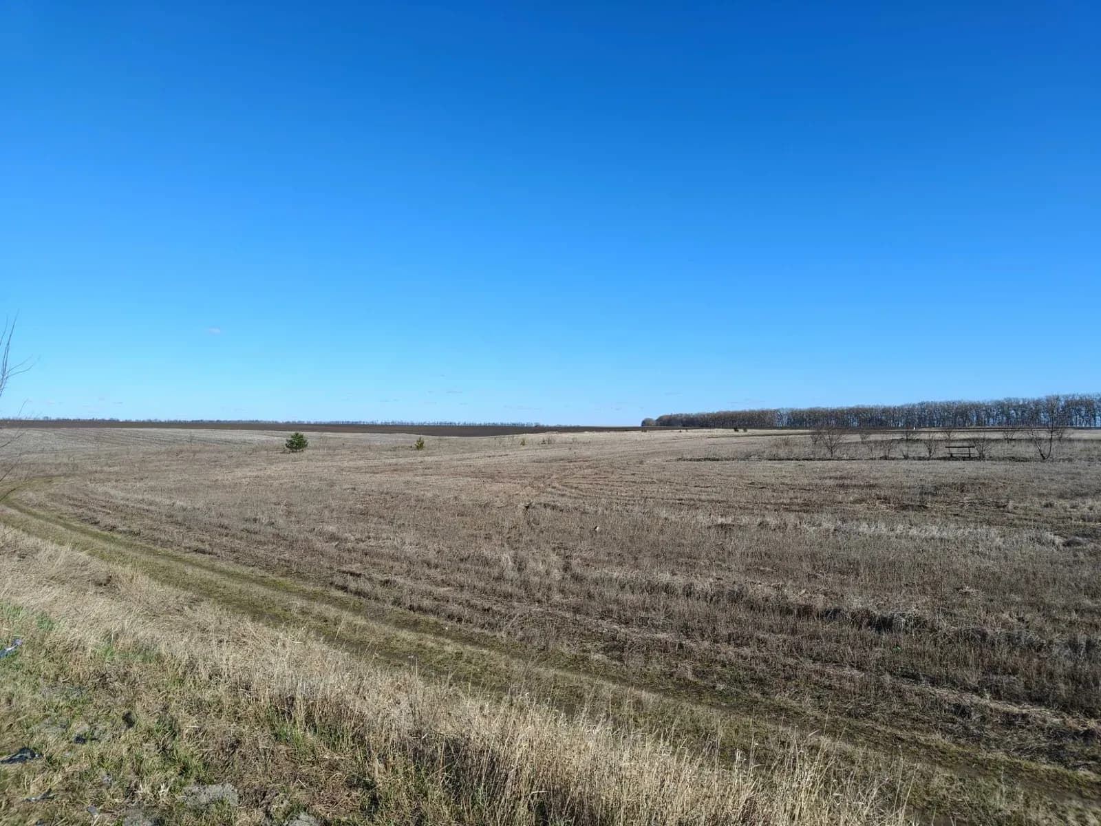 Ділянка 87 соток, Турбів: під забудову, сільське господарство - фото 4