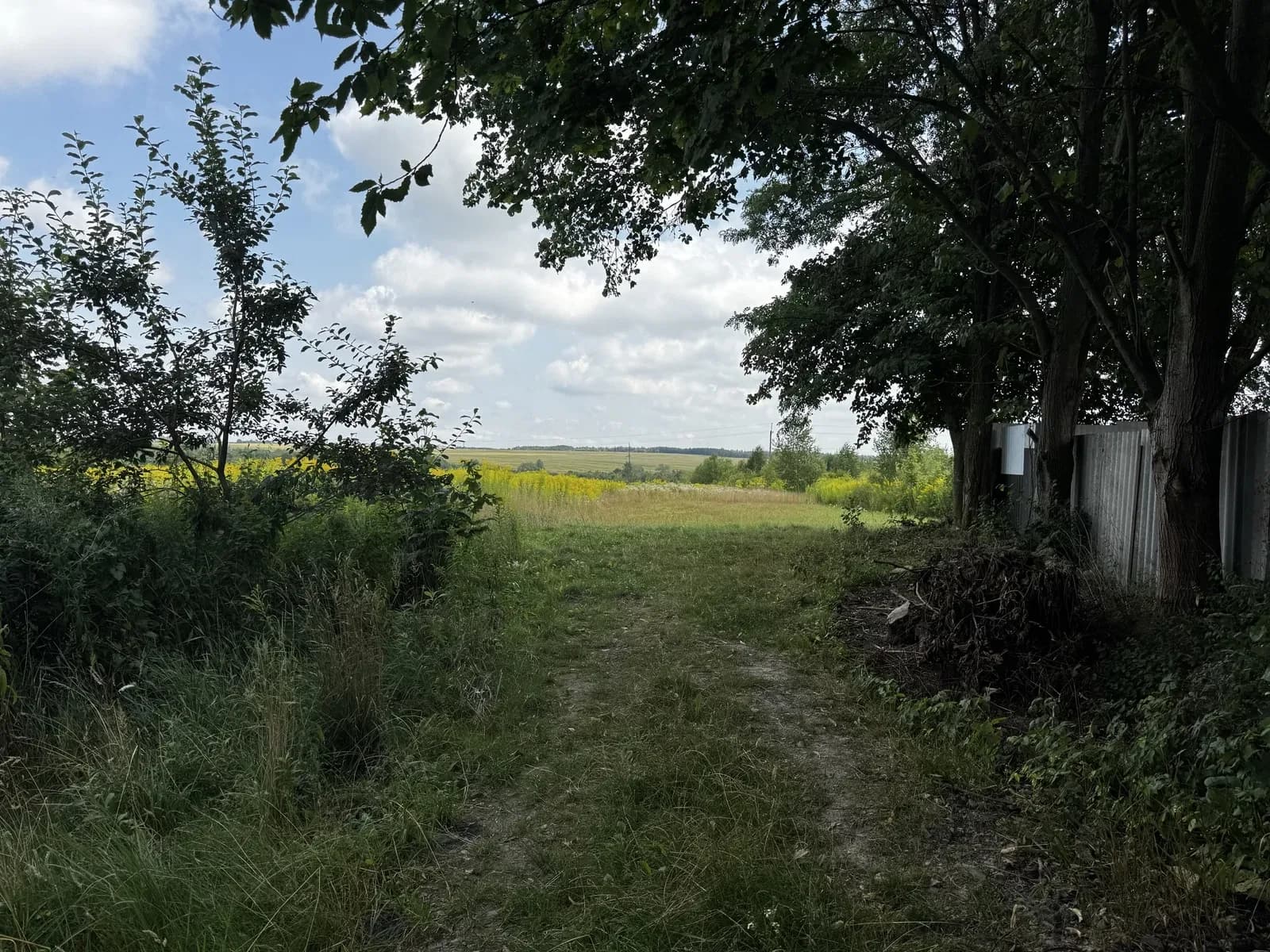 Ділянка 0.32 соток, Басівка: під будівництво, світло, газ і вода на межі - фото 5