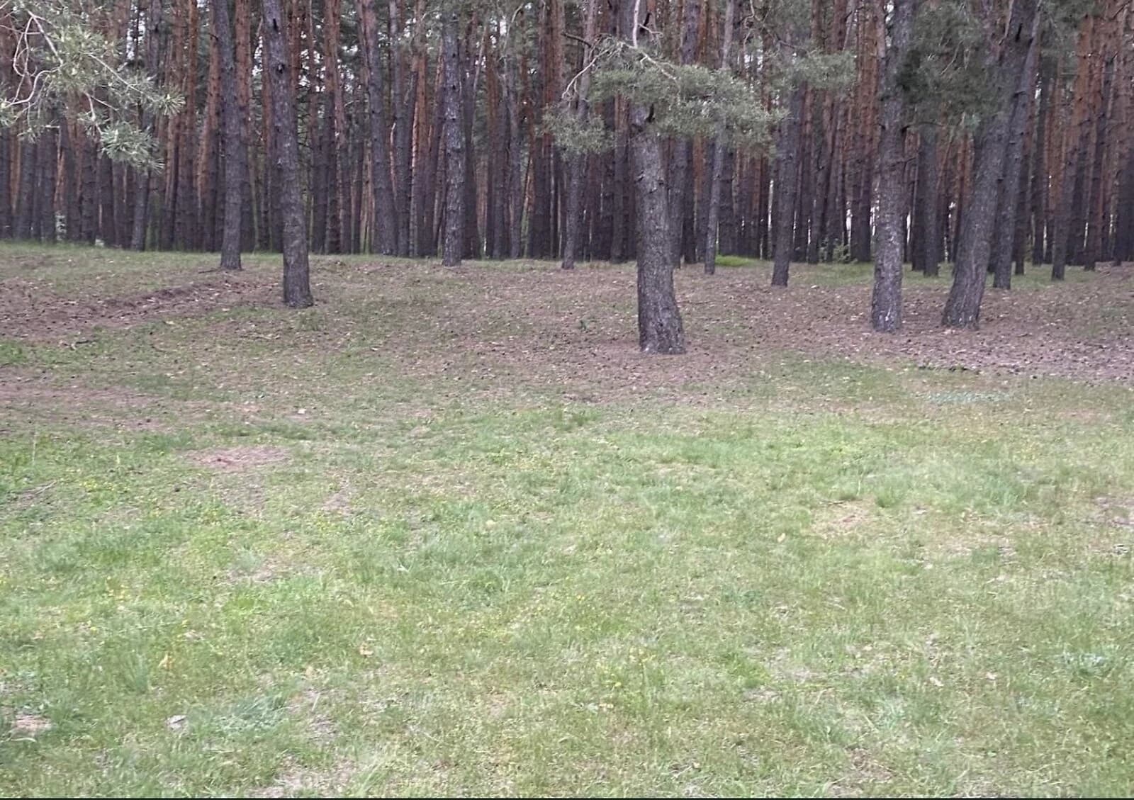 Ділянка 25 соток, Соколове: сільськогосподарська, рівнинна - фото 4