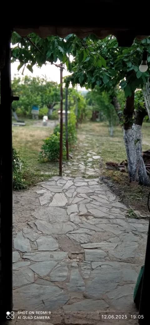 Будинок, Ново Іванівка: 15 соток, фруктові дерева, 12 сортів малини - фото 5