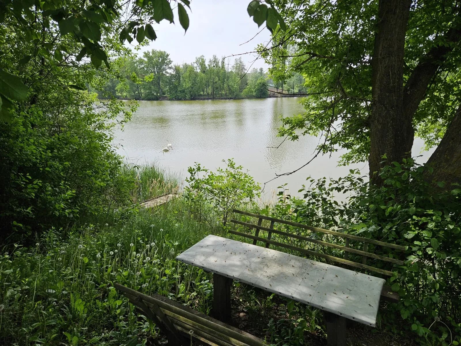 Будинок, Германівка: власний вихід до озера, баня, 20 соток - фото 5