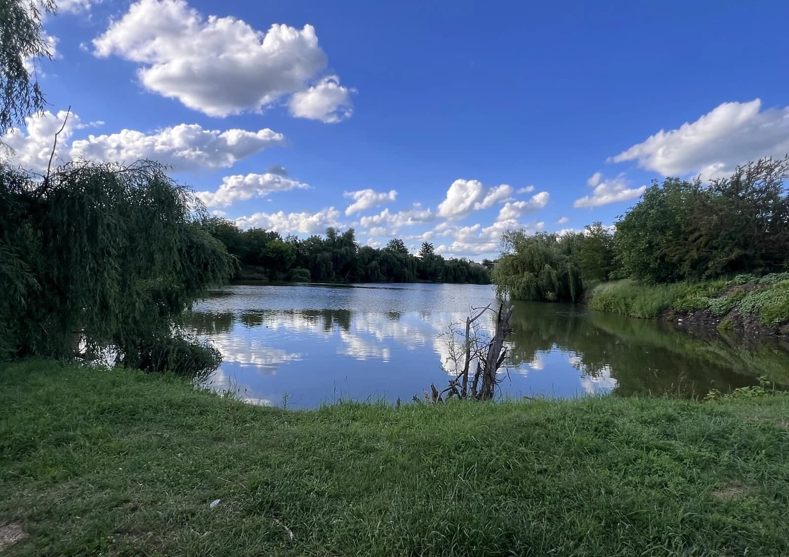 Будинок, Рибці: бесідка, 10 соток, панорамні вікна - фото 3