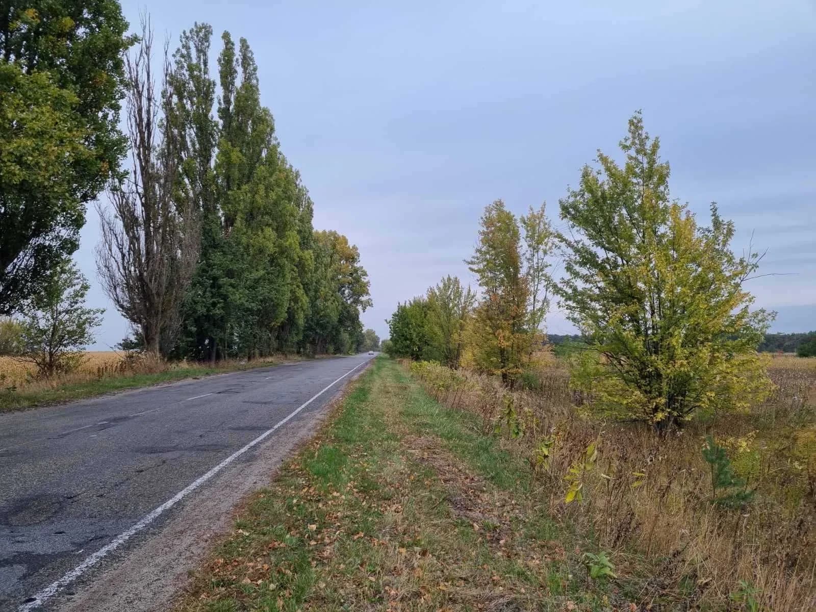 Ділянка 32,33 сотки, Стайки: біля лісу, асфальтована дорога - фото 1