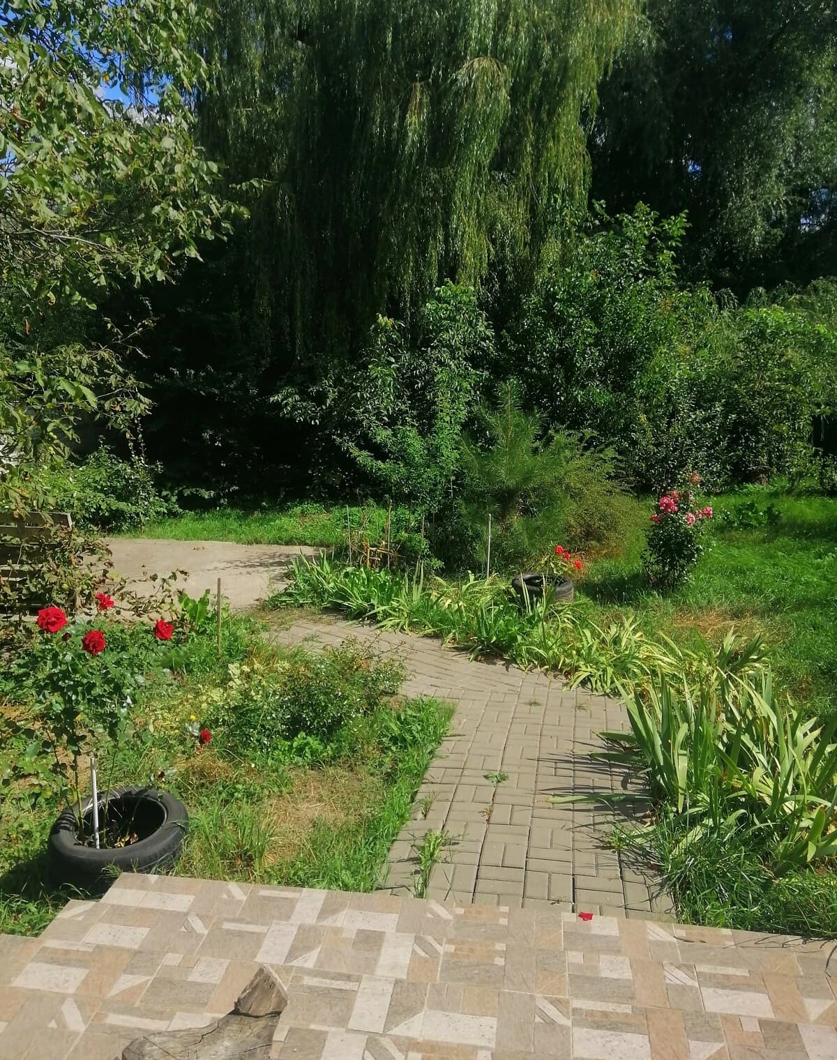 Будинок, Софіївська Борщагівка: бесідка, 12 соток, єОселя - фото 5
