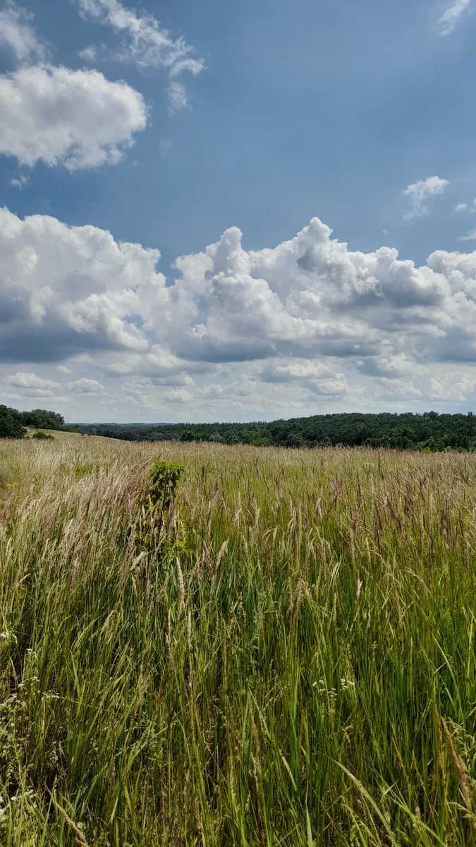 Ділянка 0,10 соток, Ржищів: під забудову, біля лісу - фото 1
