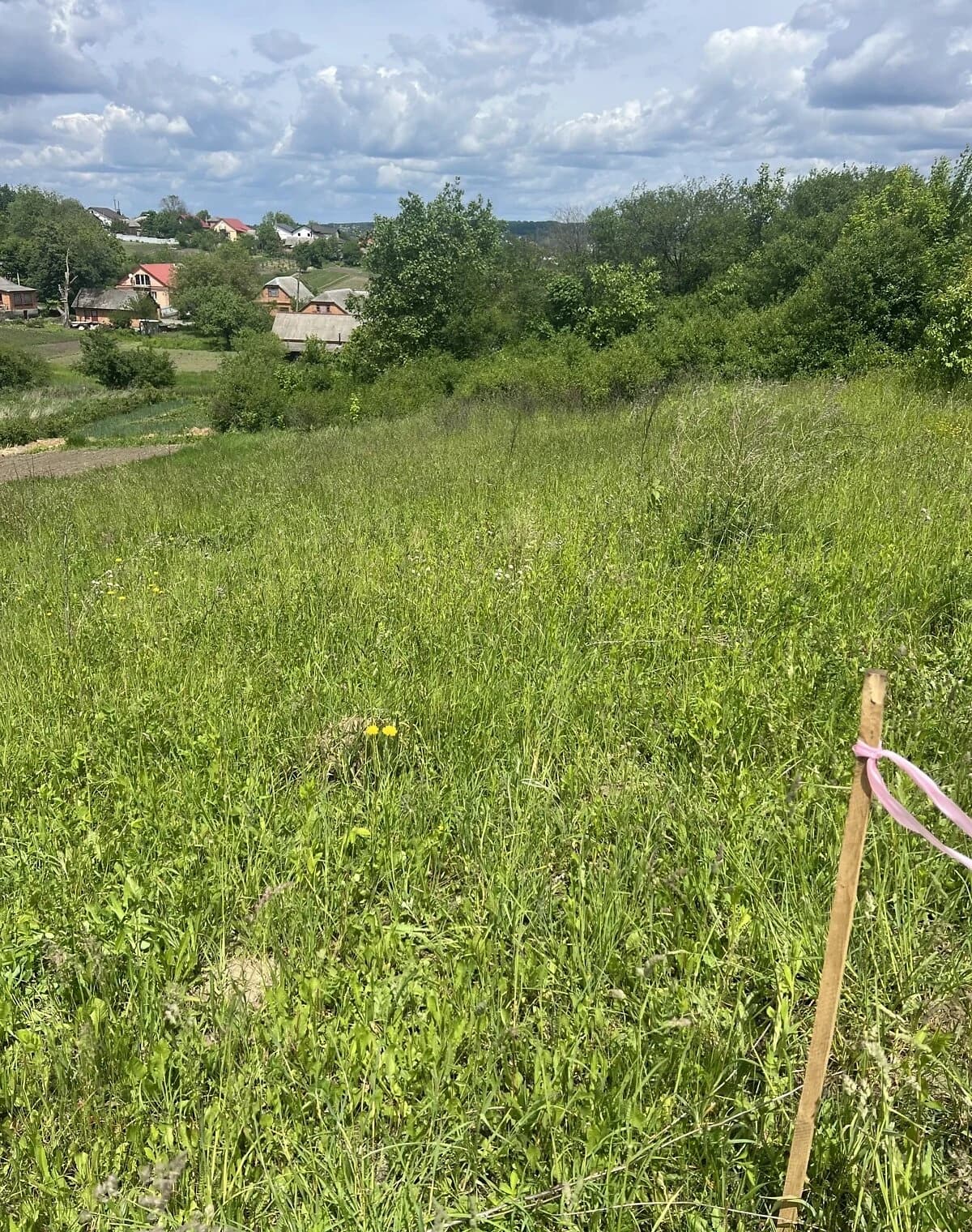 Ділянка 6 соток, Гречани дальні: під житлову забудову, під гараж - фото 2